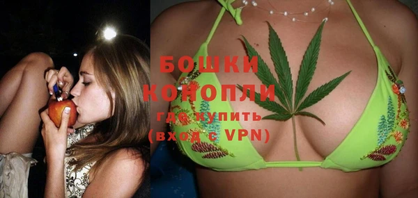 стаф Горнозаводск