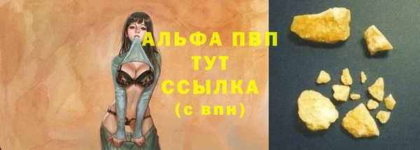 стаф Горнозаводск