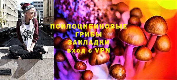 стаф Горнозаводск