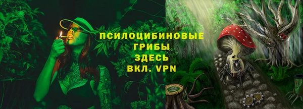 стаф Горнозаводск
