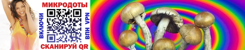 Галлюциногенные грибы MAGIC MUSHROOMS  Голицыно 